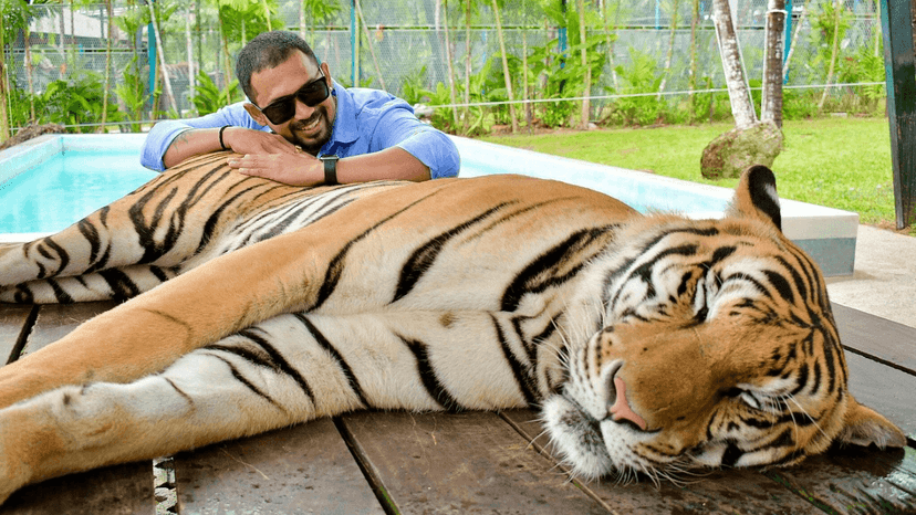 Tiger Park Phuket booking