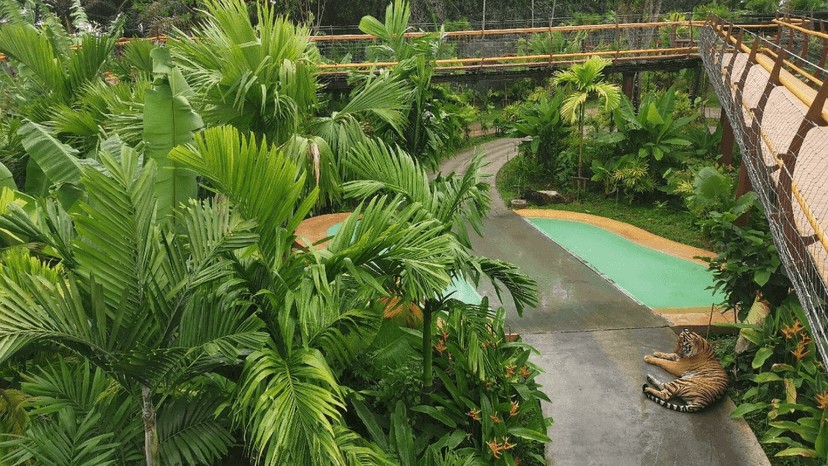 Tiger Park Phuket reviews