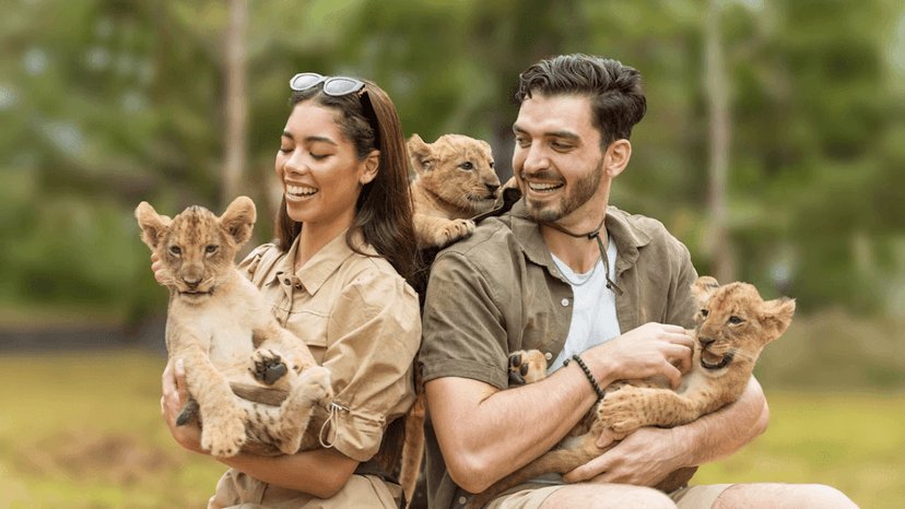 Lion Land Phuket Tickets with Private Transfers