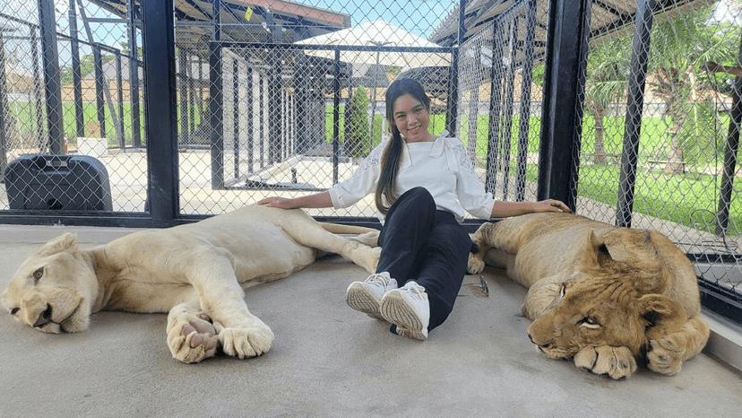 LION LAND PHUKET cost