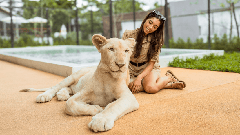 LION LAND PHUKET baby