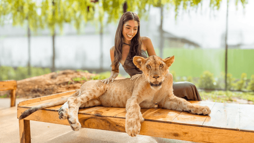LION LAND PHUKET how to reach