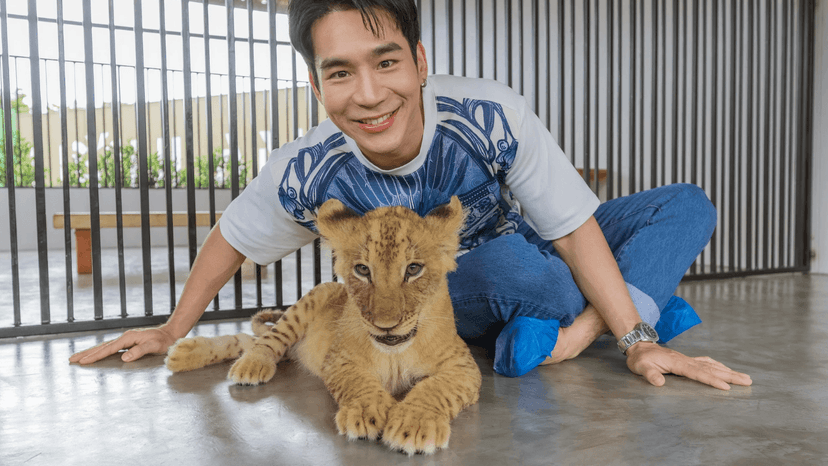 LION LAND in PHUKET