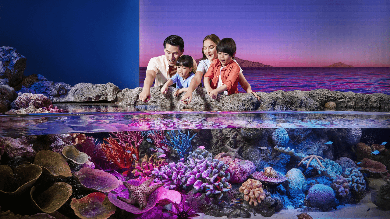 SEA LIFE Bangkok Ocean World Tickets