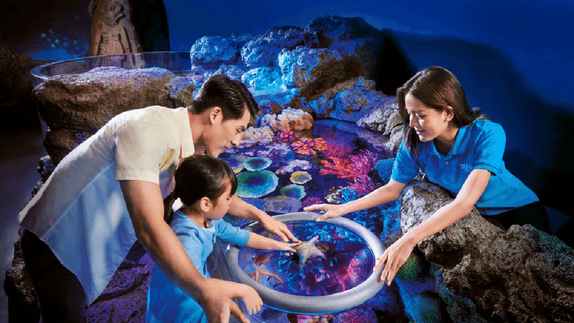 Family Visit SEA LIFE Bangkok Ocean World Indoor Aquarium