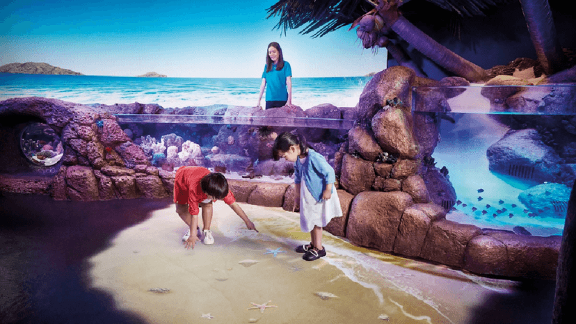 Glass Bottom Boat Experience SEA LIFE Bangkok Add On Activity