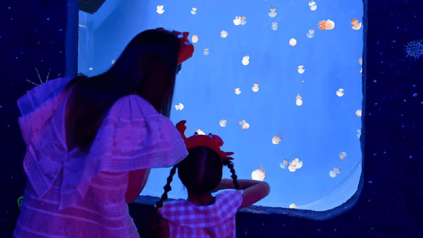 4D Movie Experience SEA LIFE Bangkok Ocean World Add On