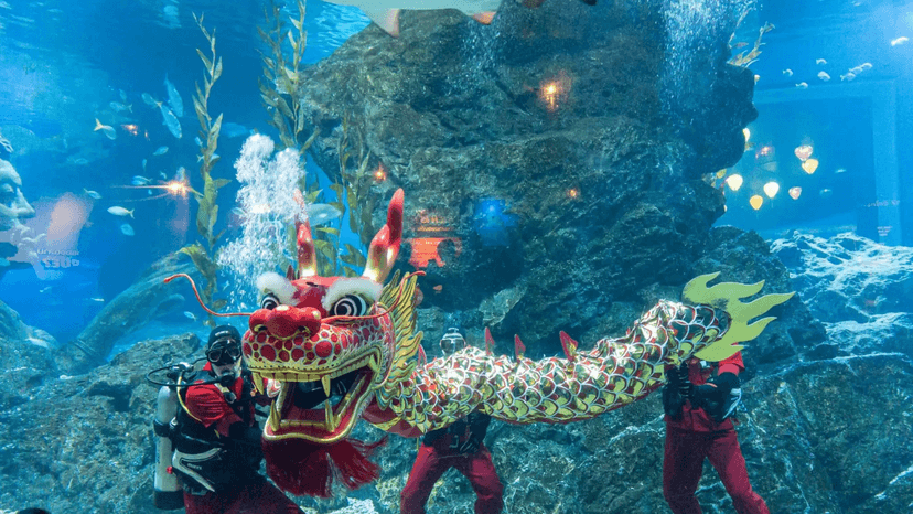 Underwater Viewing Window SEA LIFE Bangkok Ocean World
