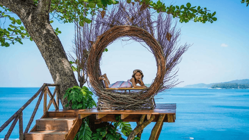 Rock Beach Swing cost