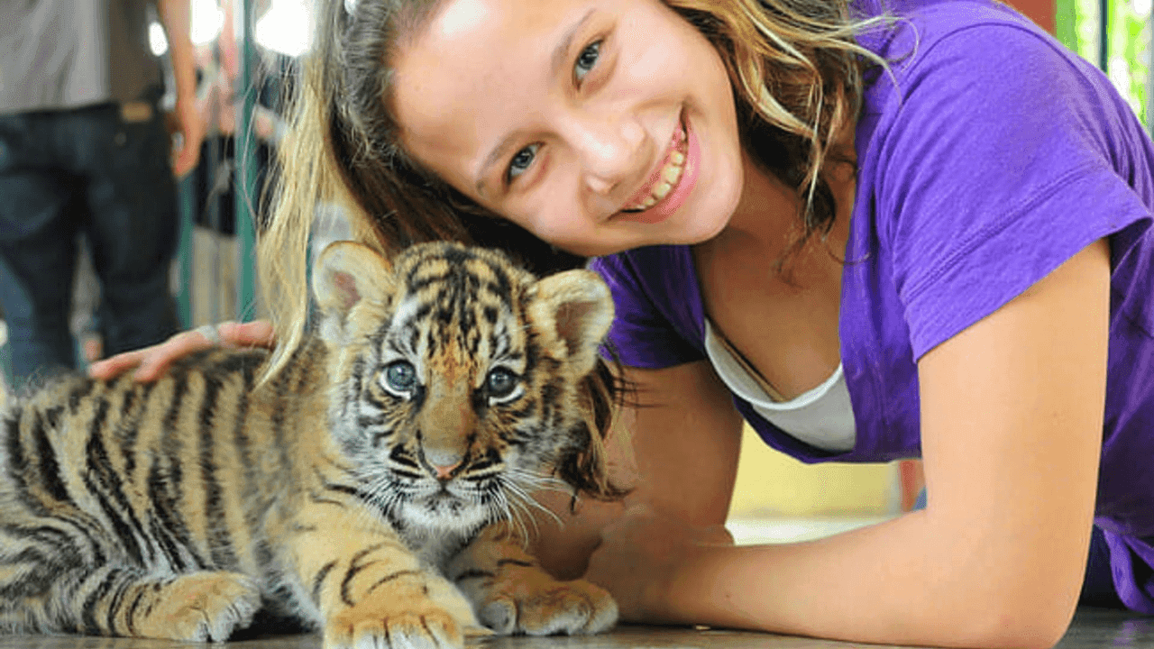 Tiger Park Phuket