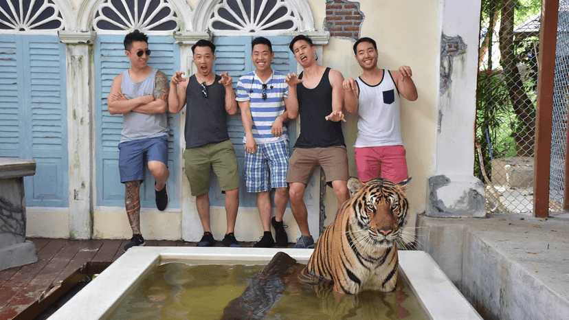 Tiger Kingdom tickets