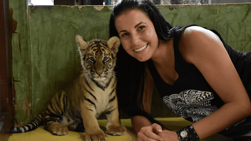 Tiger Kingdom how to book