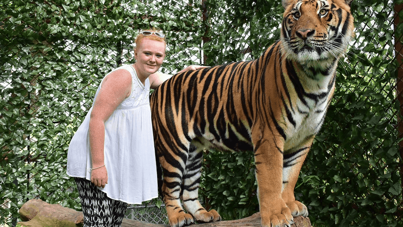 Tiger Kingdom website