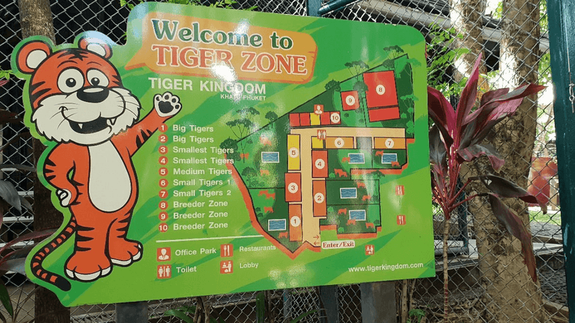 Tiger Kingdom child