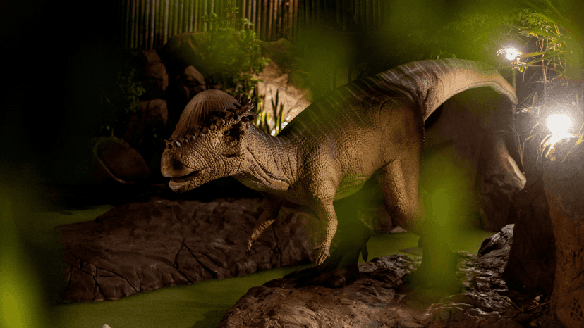 Dino Park Mini Golf Phuket