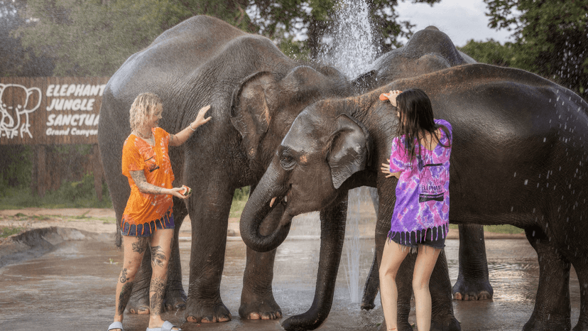 Traditional Karen Clothing Change Chiang Mai Elephant Program