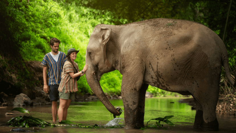 Photographer Capturing Guest Moments Chiang Mai Sanctuary