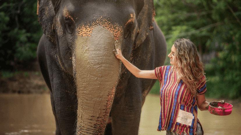 Photographer Capturing Guest Moments Phuket Elephant Sanctuary