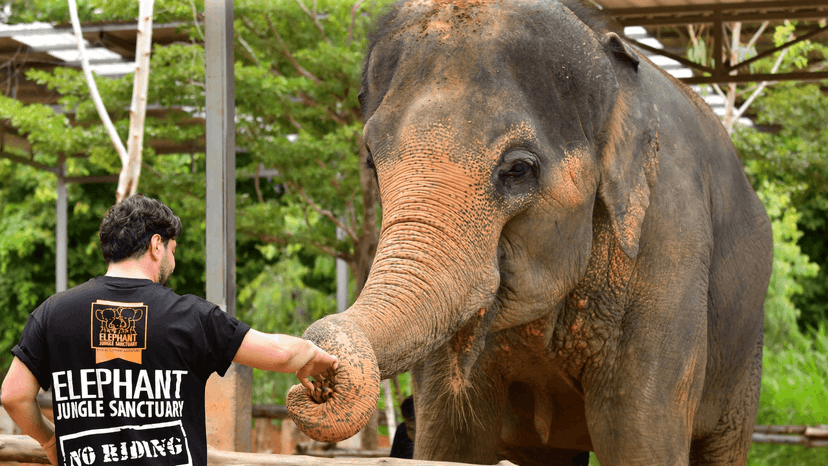Guests Shower And Change Facilities Phuket Elephant Sanctuary