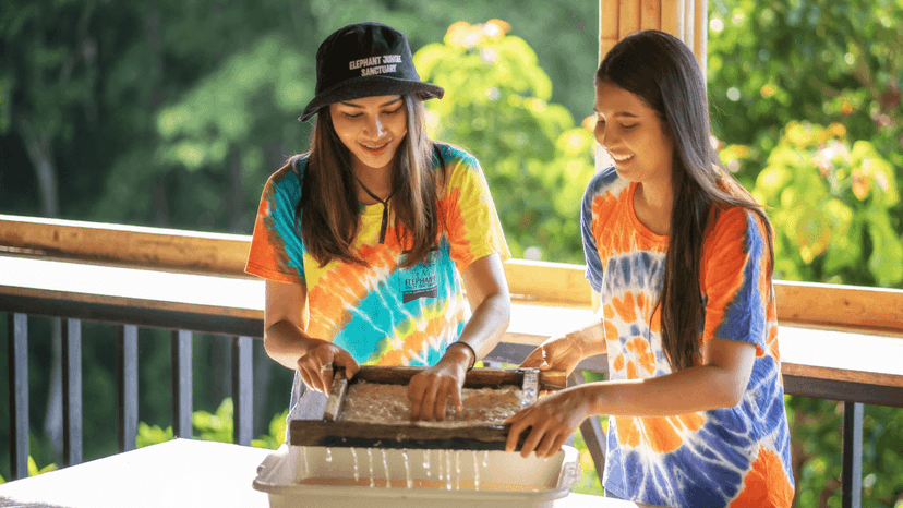 Family Friendly Ethical Elephant Visit Phuket Sanctuary