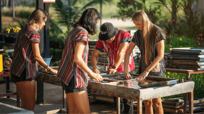 Elephant Bathing Experience Pattaya Sanctuary Outdoor Area