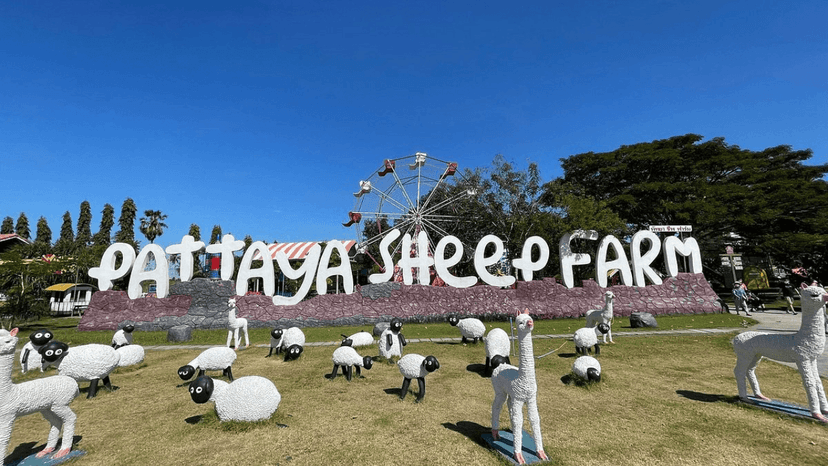 Sheep Farm Pattaya Entrance And Visitor Area