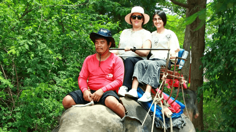 Fun Race And Animal Parade Family Park Pattaya