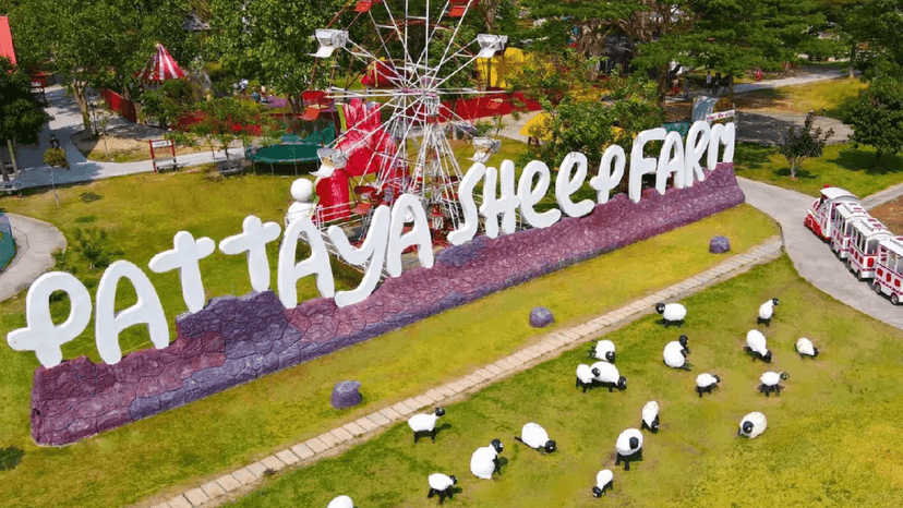 Sheep Farm Live Show Stage Pattaya