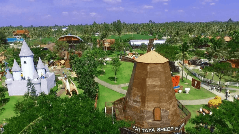 Agility Dog Show At Pattaya Sheep Farm