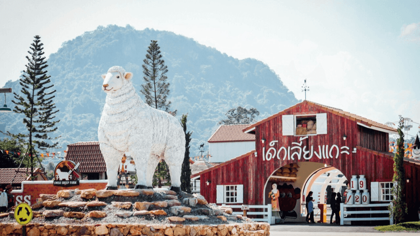 Animal Feeding Zone Pattaya Sheep Farm Visitors