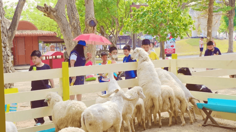 Pony Riding Activity Pattaya Sheep Farm For Kids