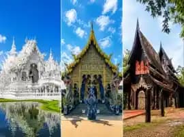 Chiang Rai Temples Tour: White Temple, Blue Temple & Black House