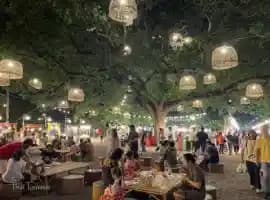 Tours and activities