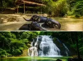 Khao Lak Half-Day Waterfall & Elephant Encounter (Ethical Focus)