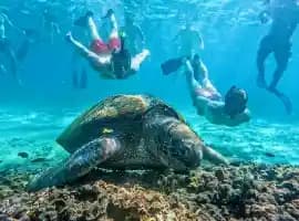 Koh Tao & Koh Nang Yuan Snorkelling / Dive Day Trip
