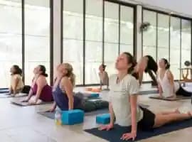 Koh Phangan Yoga, Detox & Wellness Day
